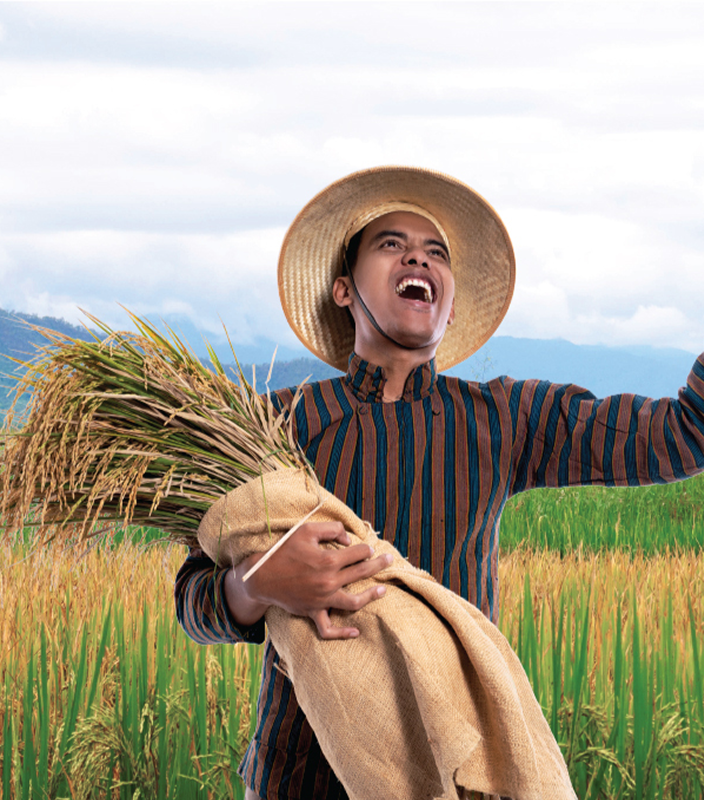 Petani di sawah
